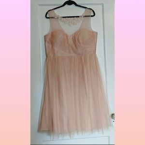 Jenny Yoo Collection Size 18 Dress